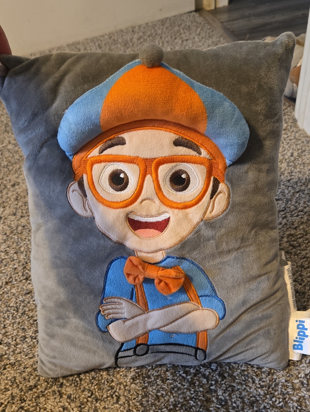 Plush Accent Pillow - Gray with Orange & Blue